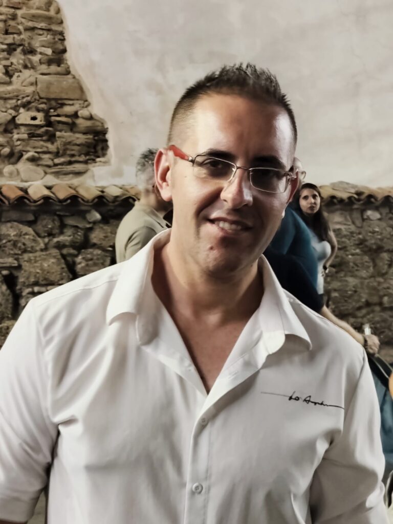 Nicola Divietro, Sviluppatore web freelance